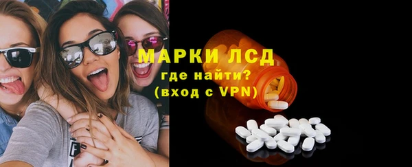 ГАЛЛЮЦИНОГЕННЫЕ ГРИБЫ Осинники