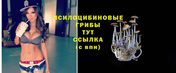 a pvp Покров