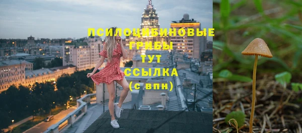 ешки Покровск
