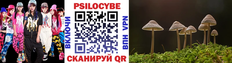 где купить наркотик  Магнитогорск  Псилоцибиновые грибы прущие грибы 