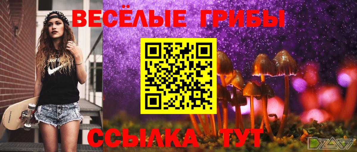 Галлюциногенные грибы Psilocybe Магнитогорск