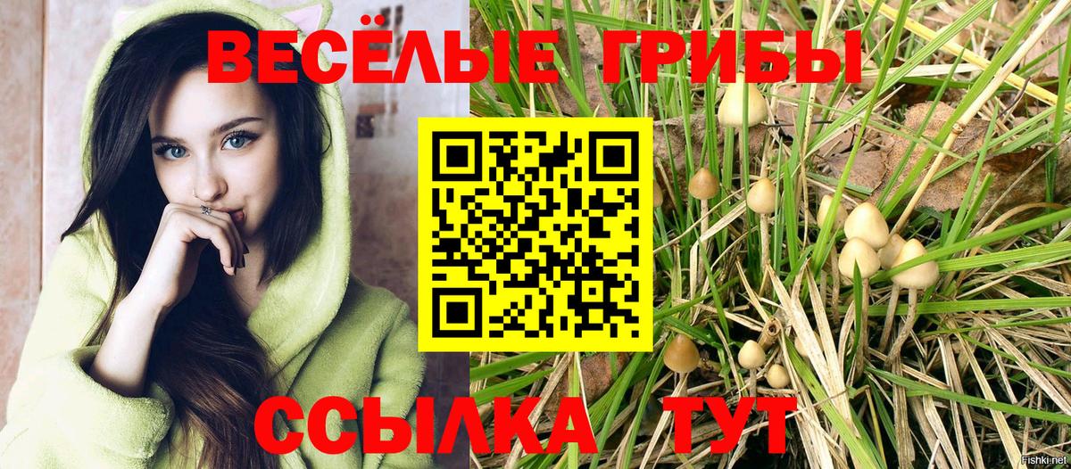 Галлюциногенные грибы мицелий  Вход с VPN  Магнитогорск 